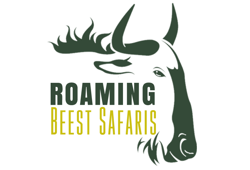 Roaming Beest Safaris